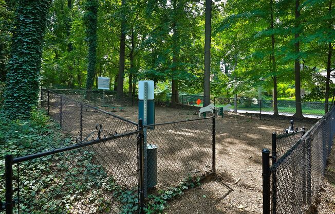 Dog Park