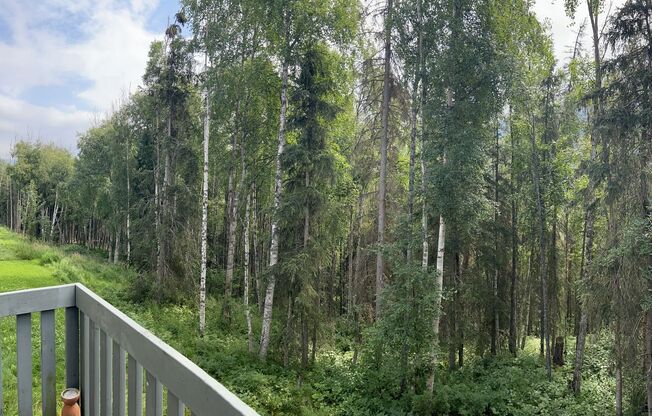 3 bed/3.5 Baths. Eagle river.