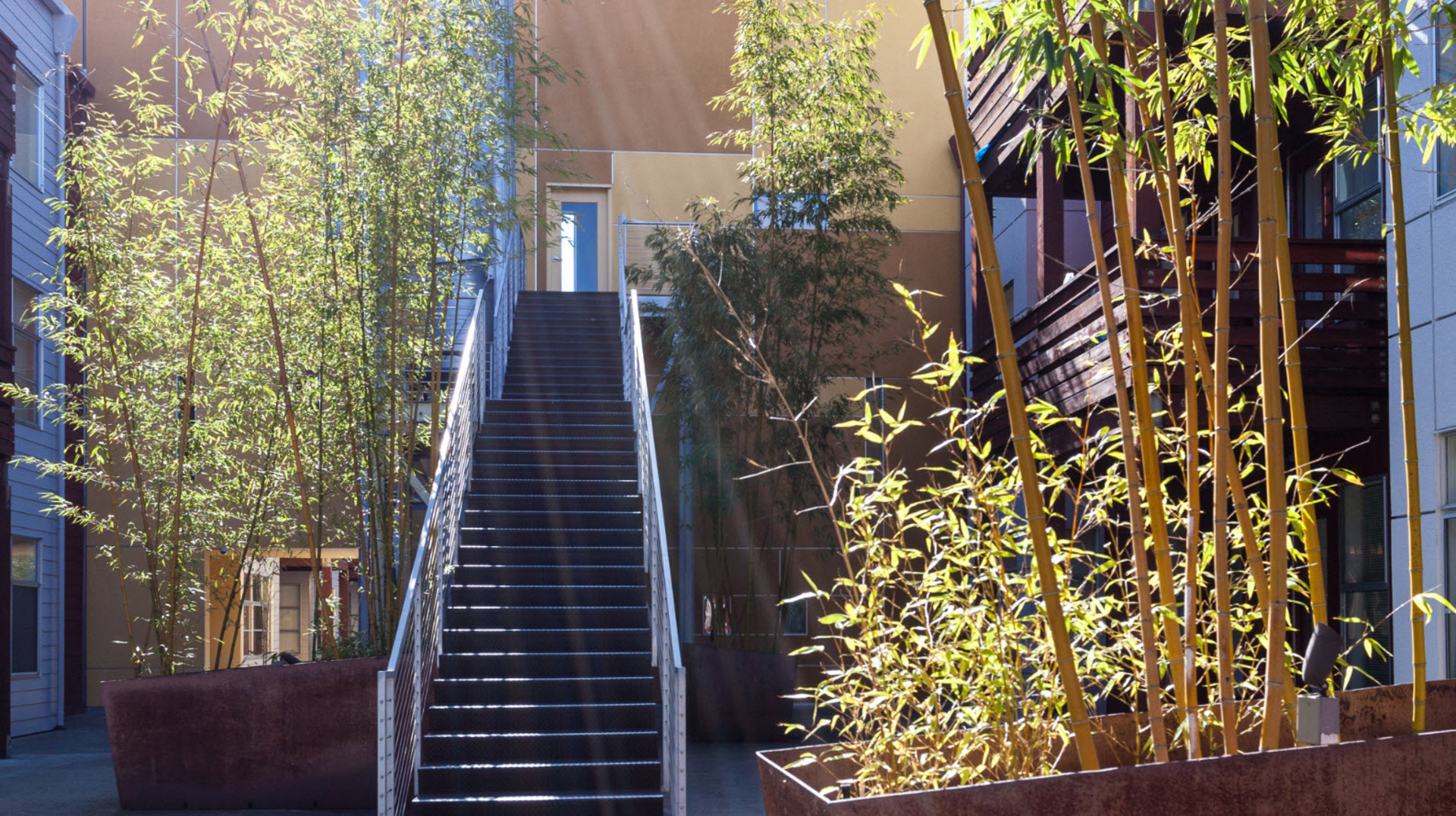 Soma Residences