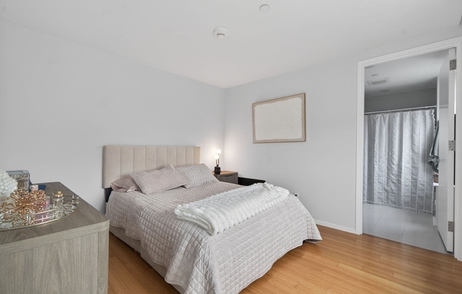 1 bed, 1 bath, 663 sqft, $3,300, Unit 1005