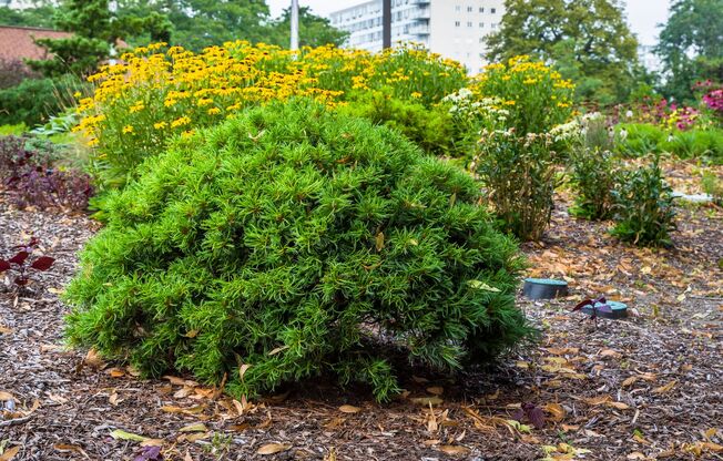 2 beds, 2 baths, 1,039 sqft, $2,295, Unit 606-210