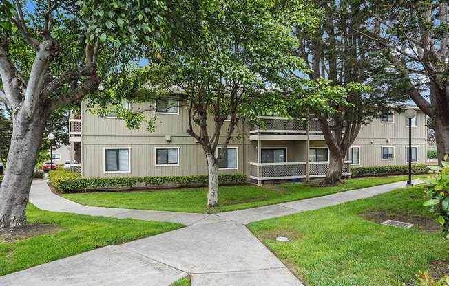 Trees and walkway at Cypress Landing, Salinas, 93907