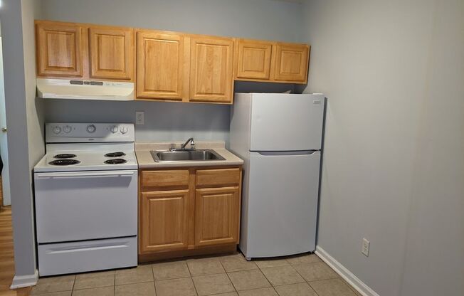 Studio, 1 bath, 500 sqft, $1,350, Unit 3H