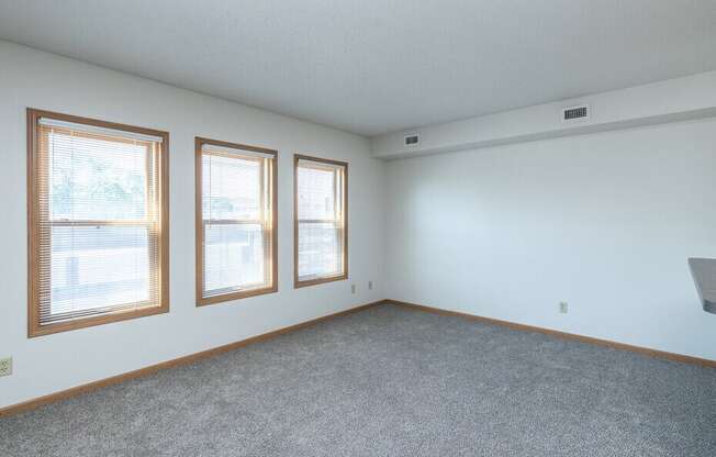 A room with a grey carpet and three windows.
