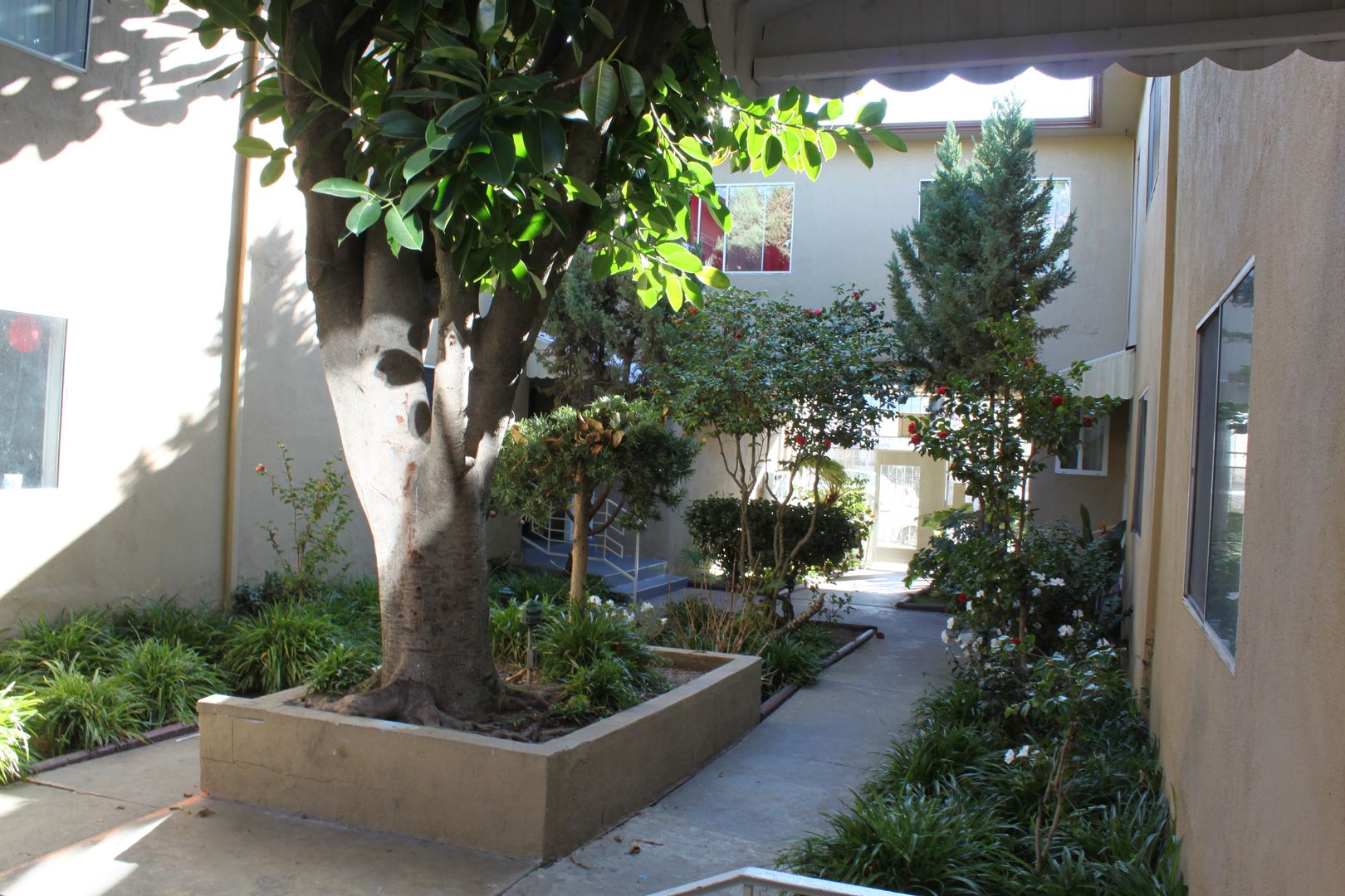 252   1167 Fairfax Apts.