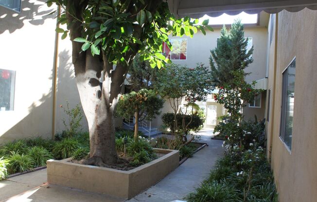 252   1167 Fairfax Apts.