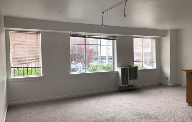 Studio, 1 bath, 420 sqft, $1,350, Unit Unit 206