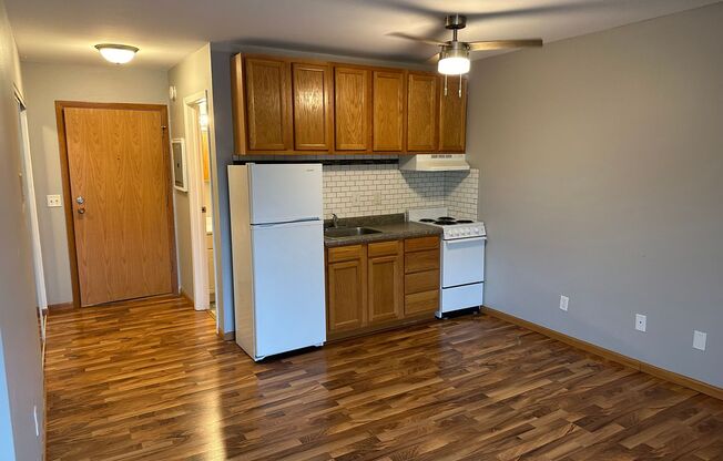 Studio, 1 bath, 400 sqft, $925, Unit Unit 304