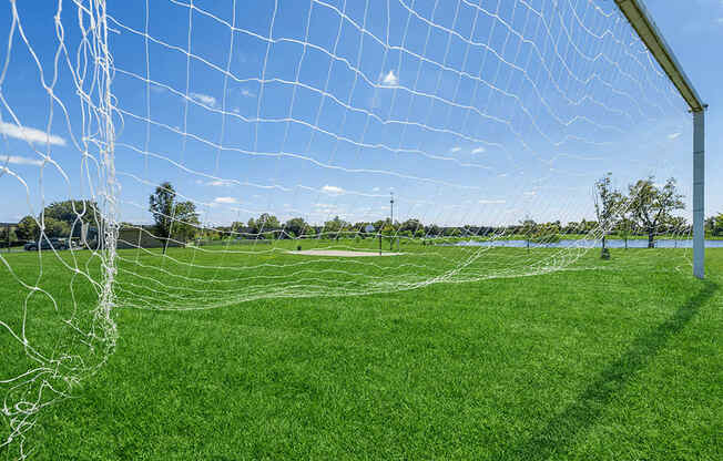 a soccer goal on a field with green grass