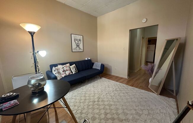 1060-1062 W Polk St &amp; 728-730 S Carpenter Ave