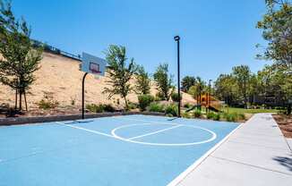 A basketball court with a blue surface and white lines, surrounded by trees and a hill in the background.