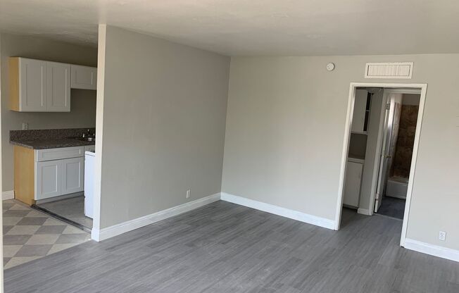 1 BEDROOM APARTMENT IN SOUTH LAS VEGAS( APT SQUARE FEET 540), NEAR MANY GROCERY STORES , RESTAURANTS, THE STRIP IS 10 MINUTES AWAY FROM THIS AREA SO IT OFFERS PLENTY OF ENTERTAINMENT SPOTS.