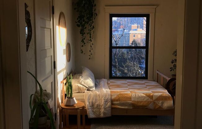 Studio, 1 bath, 494 sqft, $950, Unit 307-40