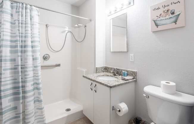 a bathroom with a shower and a toilet and a sink