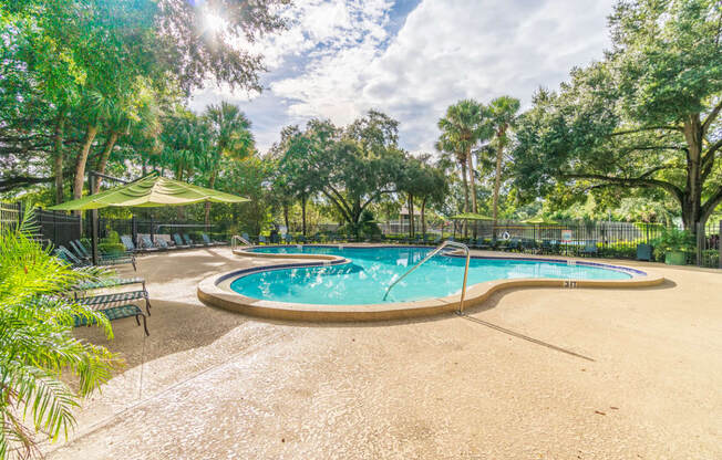 Swimming Pool at Laurel Oaks Apartments in Tampa, FL