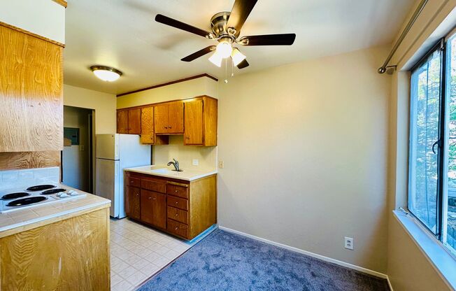 1 bed, 1 bath, 655 sqft, $1,650, Unit 16