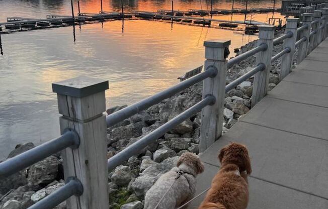 1 bed, 1 bath, 672 sqft, $1,215, Unit 403-209