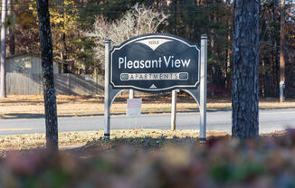 Pleasant View