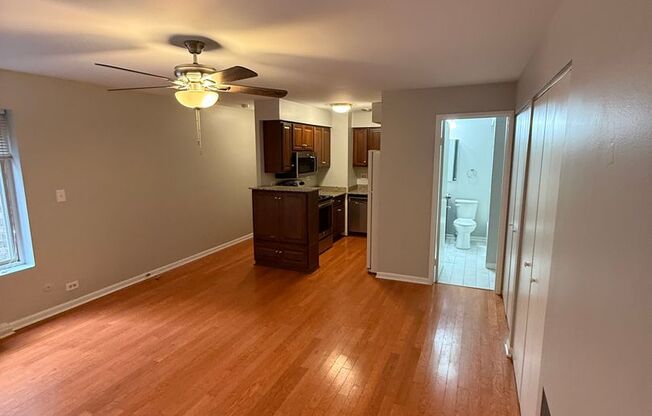 Studio, 1 bath, 600 sqft, $1,300, Unit 207