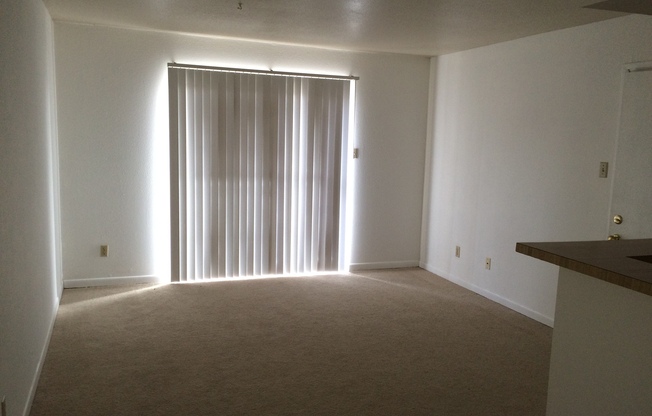 1 bed, 1 bath, $900