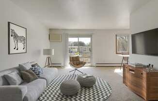 a living room with a gray couch and a black and white rug