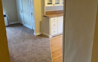 Studio, 1 bath, 345 sqft, $875, Unit 820.5