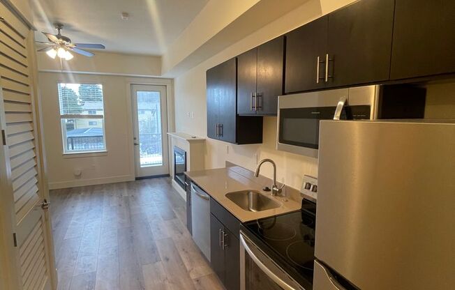 Studio, 1 bath, 340 sqft, $1,095, Unit 1306*