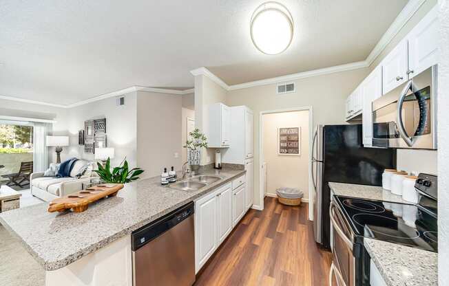 Willow Springs Apartments stainless steel appliances and quartz countertops
