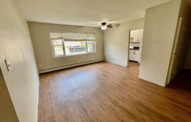 Studio, 1 bath, 450 sqft, $999, Unit 203