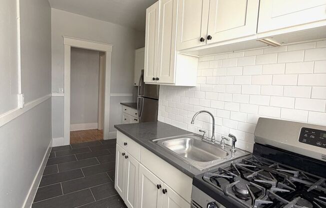 1 bed, 1 bath, 502 sqft, $1,250, Unit 201
