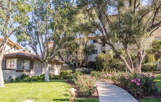 Luxury Apartments in South Pasadena - Modern Living Redefined