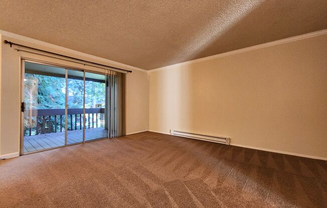 1 bed, 1 bath, $2,500