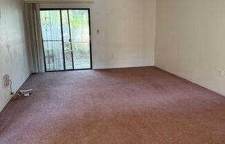 LEASE NOW AND ENJOY 50% OFF 2ND MONTH! Spacious 876 SF Unit - 1 bd / 1 ba near UF - Brandywine Condos