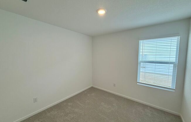 Brand NEW 4-bedroom, 2-bathroom home for lease in a fabulous New Braunfels neighborhood!
