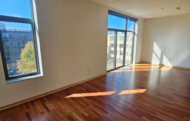 1 bed, 1 bath, 729 sqft, $1,800, Unit 411