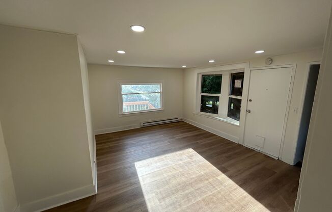 1 bed, 1 bath, 430 sqft, $1,895