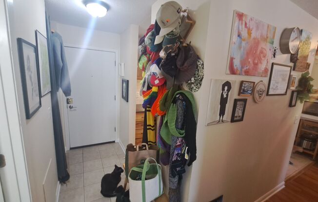 1 bed, 1 bath, 550 sqft, $1,150, Unit 310