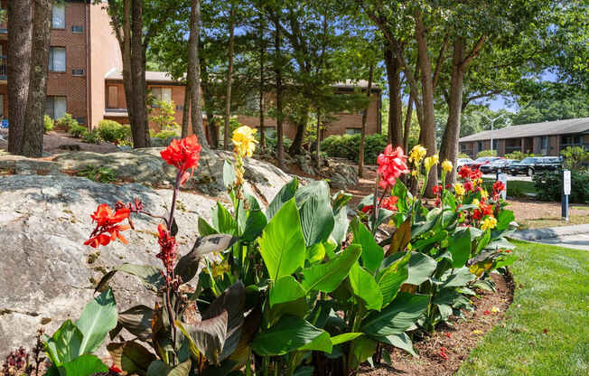 A garden with red flowers in the foreground and a building in the background.