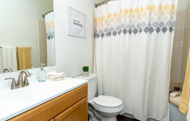large bathrooms at Forest pointe apartments