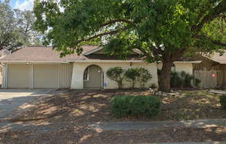 Newly Renovated NE San Antonio 3 bedroom home in established neighborhood-You do not want to miss this one!