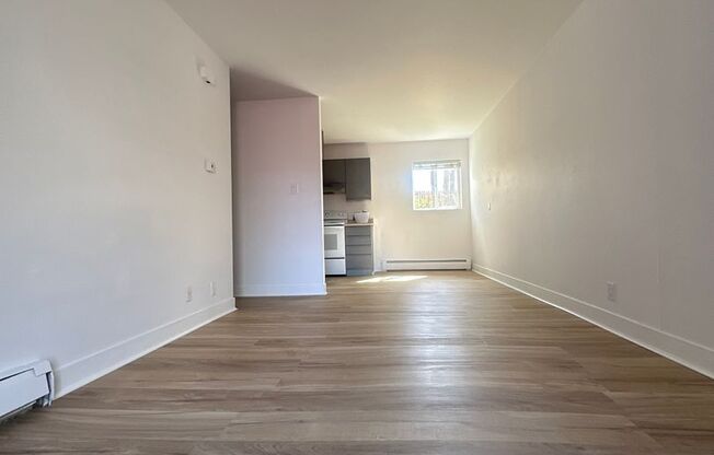 Studio, 1 bath, 417 sqft, $796, Unit 1001-11