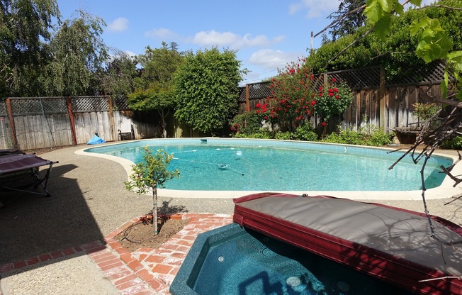 North Los Altos charmer, GREAT location, pool ready for summer fun, hardwood floors, LOTS of light!