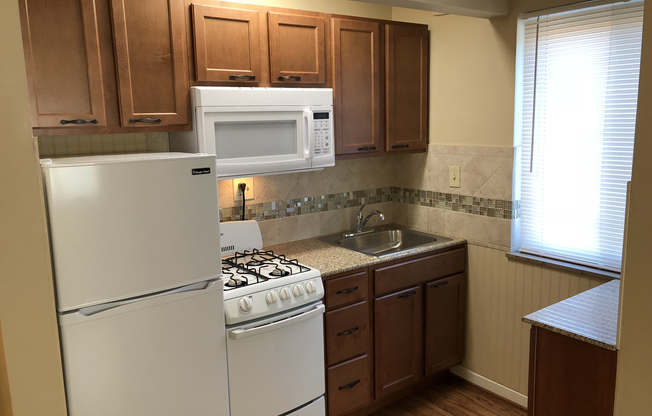 1 bed, 1 bath, 500 sqft, $775