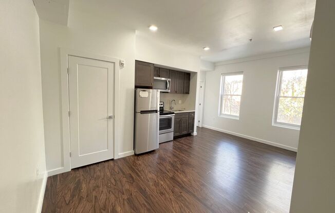 1 bed, 1 bath, 517 sqft, $1,479, Unit 208