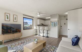 1 bed, 1 bath, $4,500, Unit #801