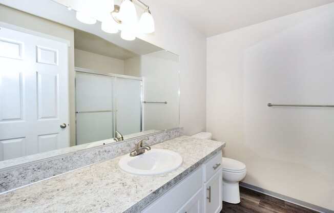 a bathroom with a sink and a toilet and a mirror