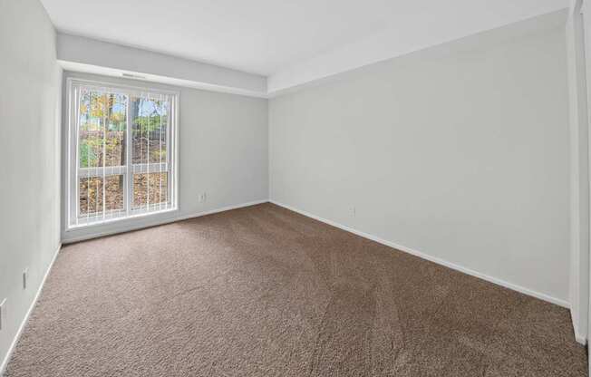 A room with brown carpet and a window with a view of trees.