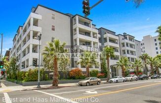 838 Pine Ave. #411