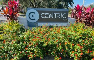 Centric on 34th