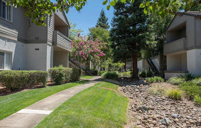 Apartment buildings, a sidewalk, and a grassy area at Sunset Summit, Rocklin, CA, 95765